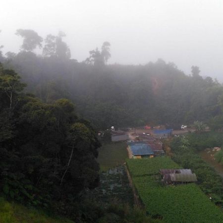 The Pines Hotel Kampung Kuala Terla Экстерьер фото
