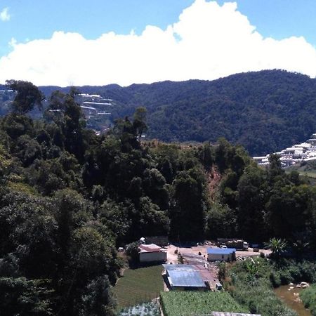 The Pines Hotel Kampung Kuala Terla Экстерьер фото