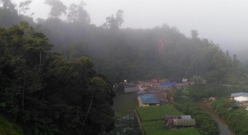 The Pines Hotel Kampung Kuala Terla Экстерьер фото