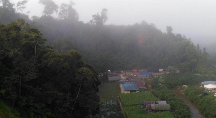 The Pines Hotel Kampung Kuala Terla Экстерьер фото